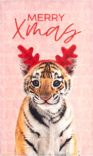 Новогодний подарочный набор кухонный Merry Xmas подставка, полотенце, формочка