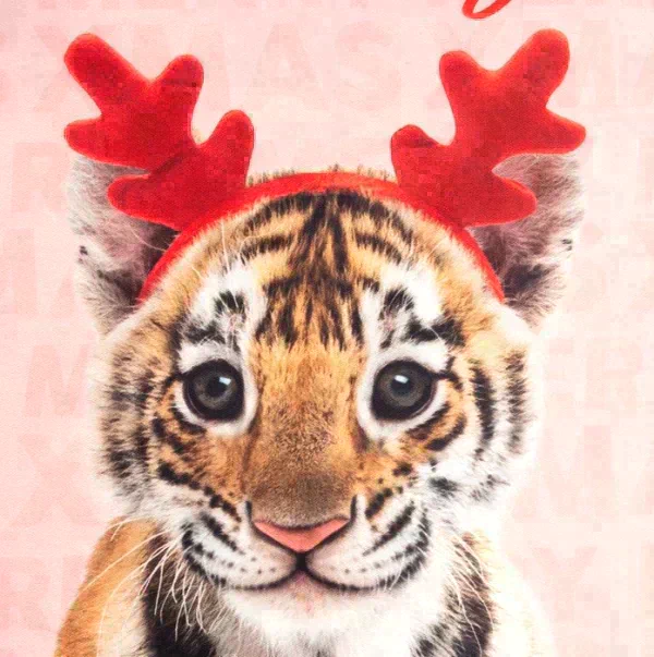 Новогодний подарочный набор кухонный Merry Xmas подставка, полотенце, формочка